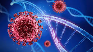 Lyon pendant la pandémie